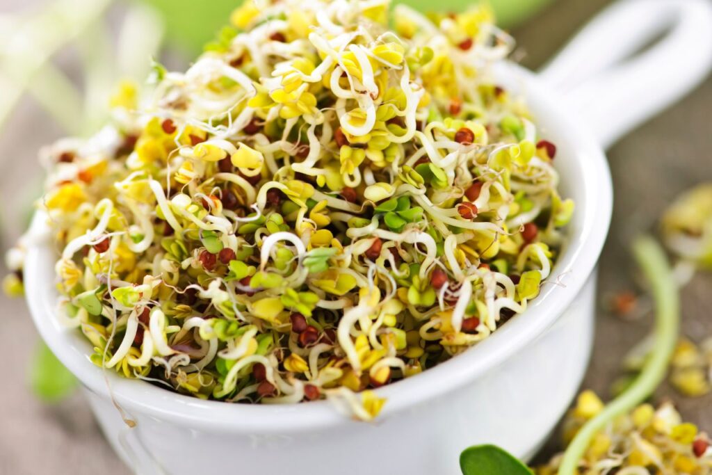 best anti-aging superfood - broccoli sprouts