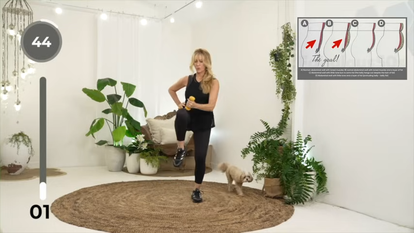 Burn belly fat in 20 minutes | Standing Ab Workout! standing ab workout