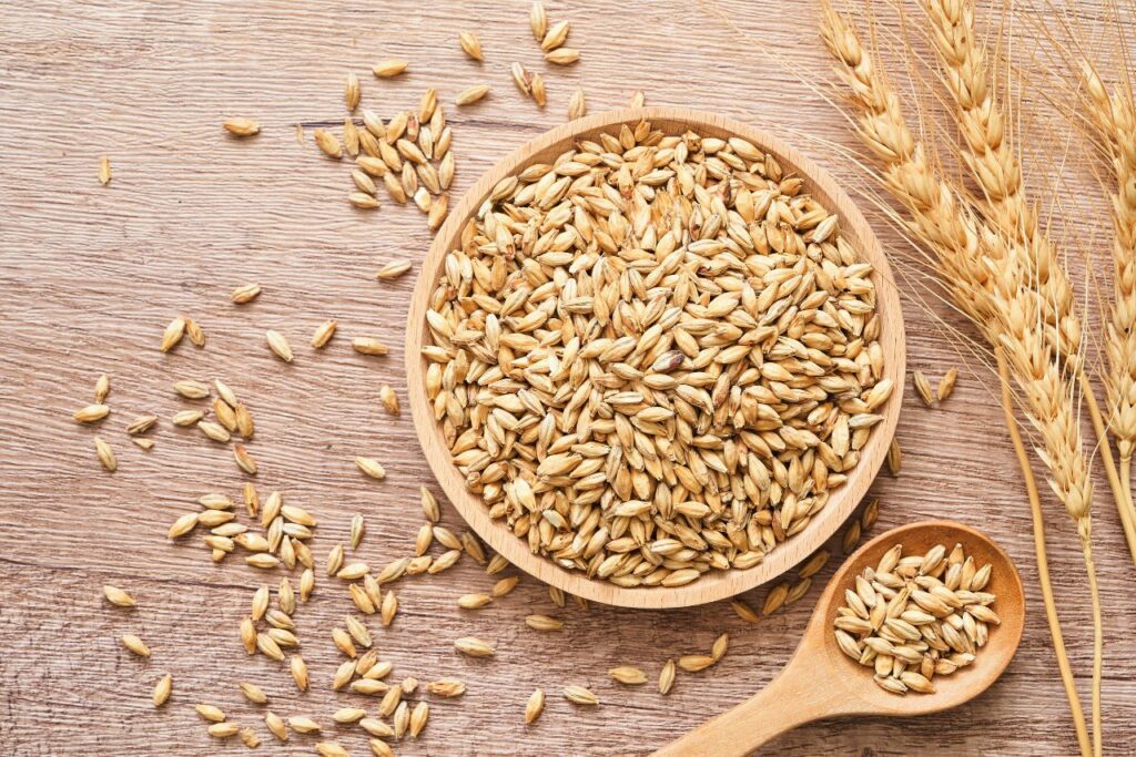 Barley as one of the cholesterol-lowering-foods