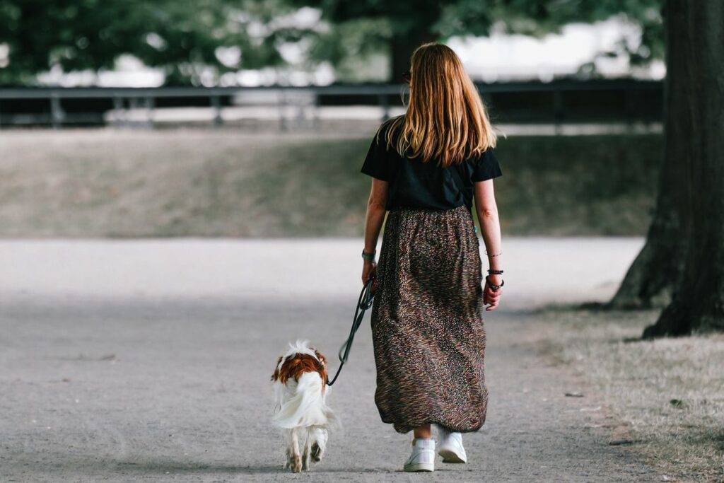 Thanksgiving Gratitude Walking Exercise