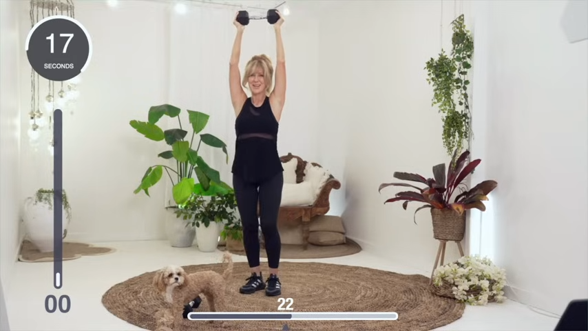 Beginner-Friendly Plank & Twist Core Challenge 